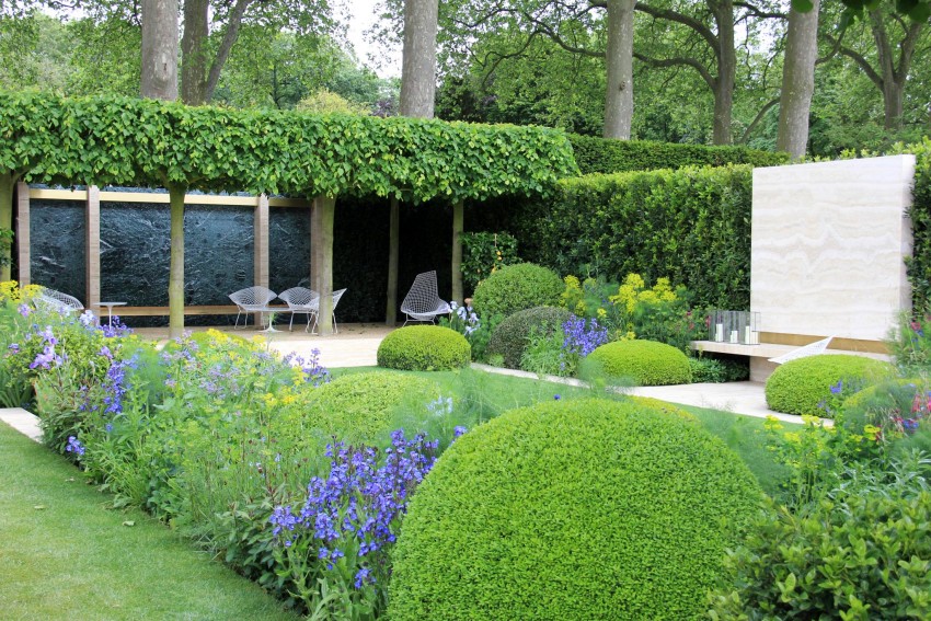 zdjęcie z chelsea flower show, rośliny pracochłonne, wymagają strzyżenia